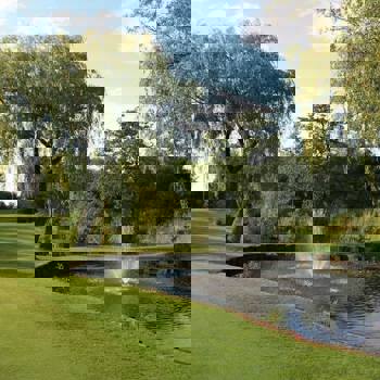 Fountain